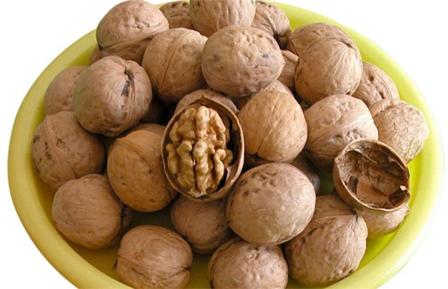 核桃树 管理要点 种植