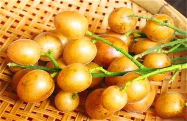 白糖黄皮