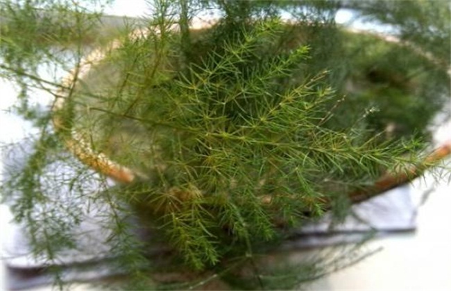 积水