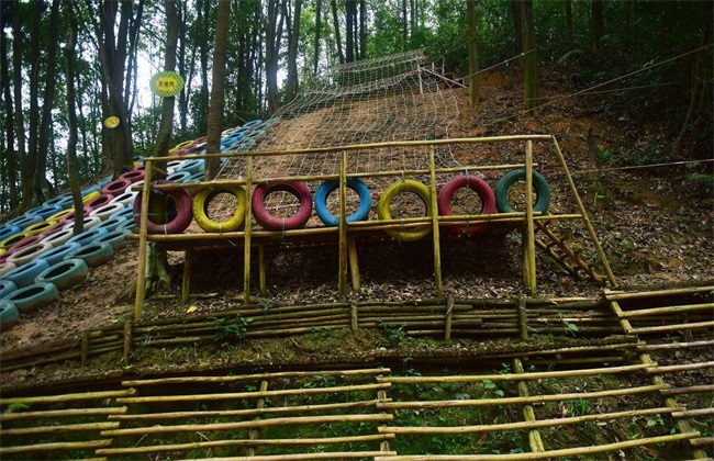 农村 项目 赚钱