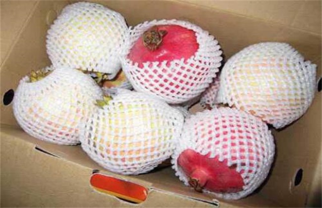 石榴价格多少钱一斤