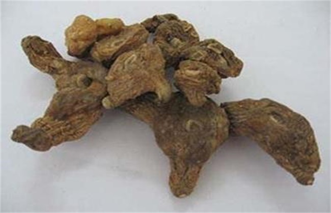 茯苓价格多少钱一斤