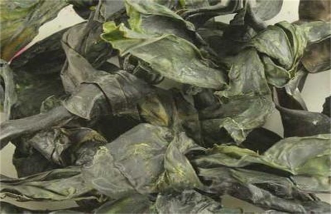 昆布和海带有什么区别