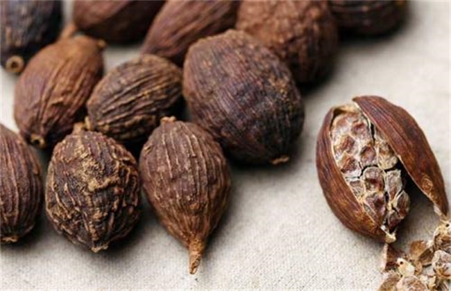 草果价格多少钱一斤