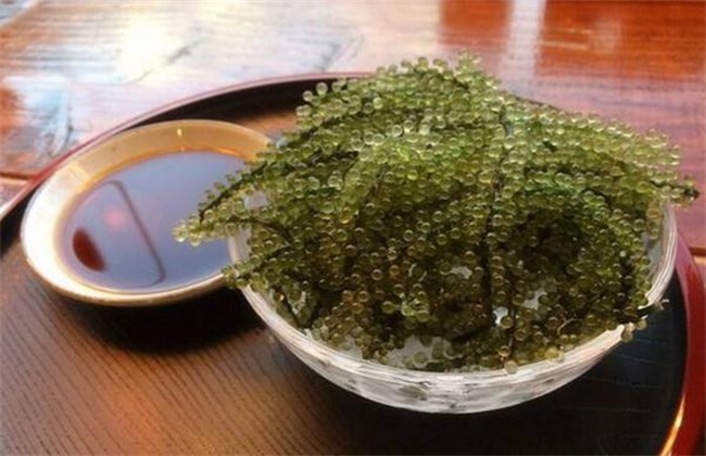 海葡萄多少钱一斤