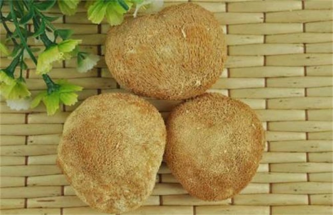 猴头菇价格多少钱一斤
