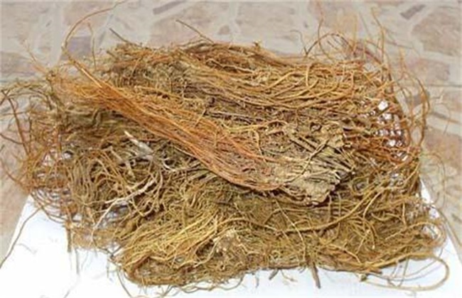 龙胆草价格多少钱一斤