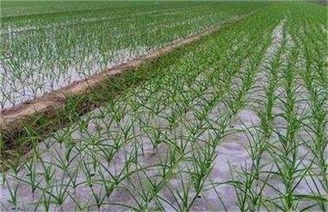 保温御寒