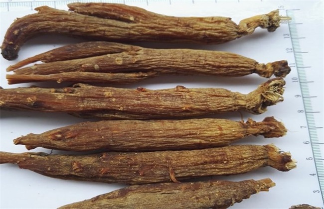 红参的价格多少钱一斤