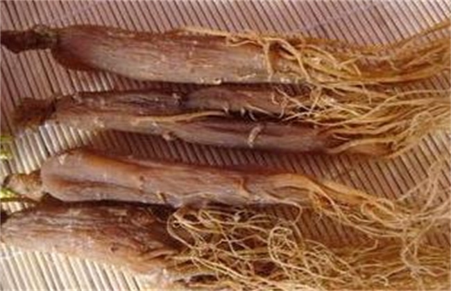 红参的价格多少钱一斤
