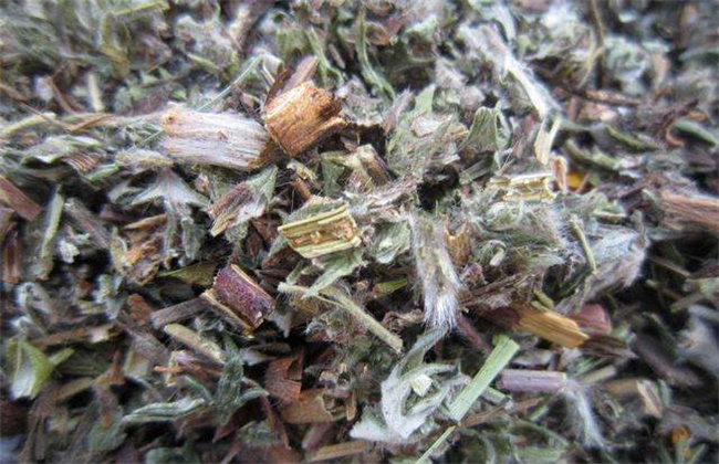 翻白草的多少钱一斤