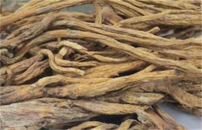 秦艽多少钱一斤