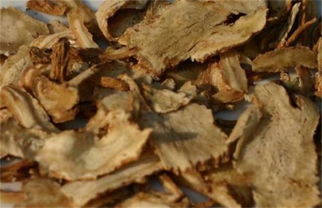 当归价格多少钱一斤