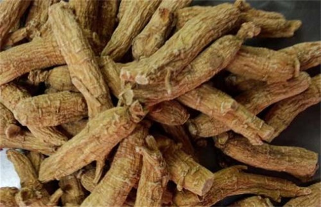 当归价格多少钱一斤