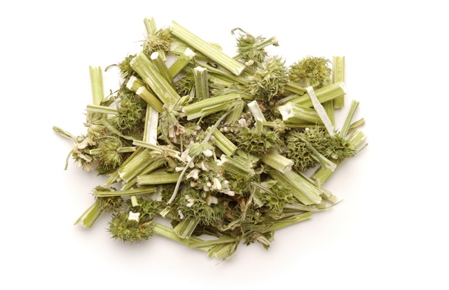 益母草的价格多少钱一斤