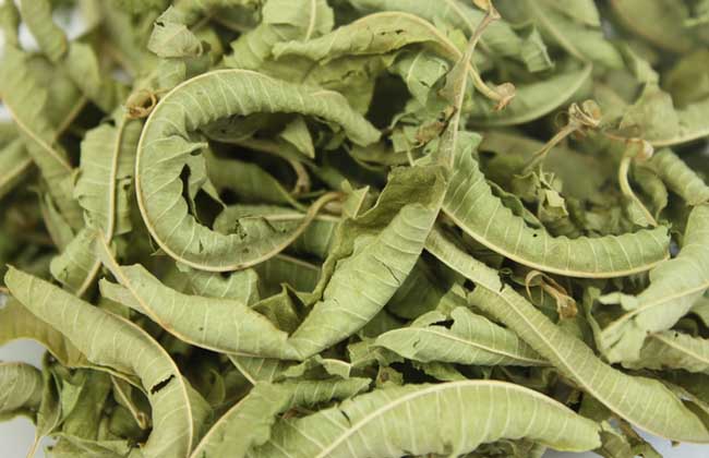 马鞭草多少钱一斤