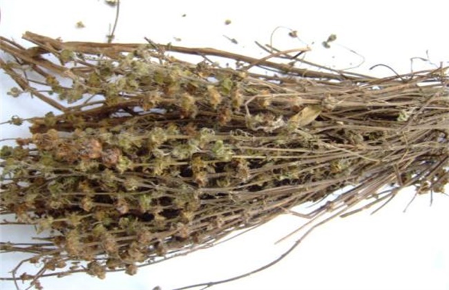 荆芥多少钱一斤
