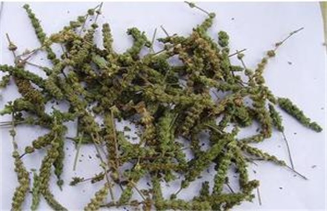 荆芥多少钱一斤