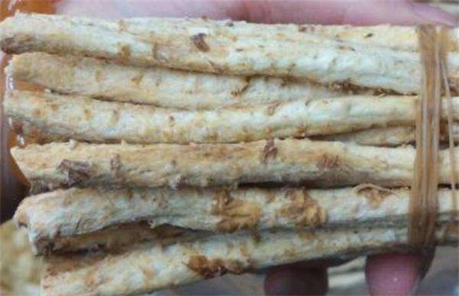 沙参多少钱一斤