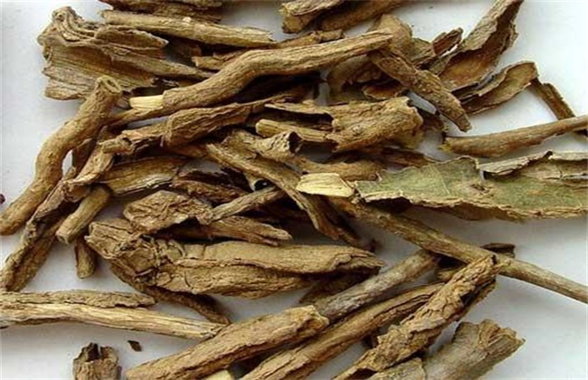 地骨皮多少钱一斤