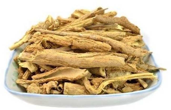 地骨皮多少钱一斤