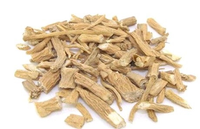 地骨皮多少钱一斤