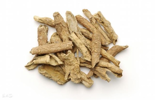 地骨皮多少钱一斤