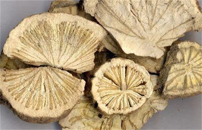 香橼多少钱一斤