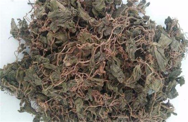 青天葵多少钱一斤