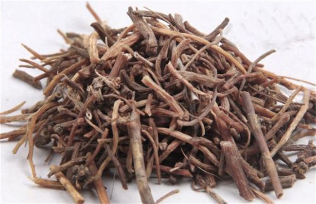 茜草多少钱一斤