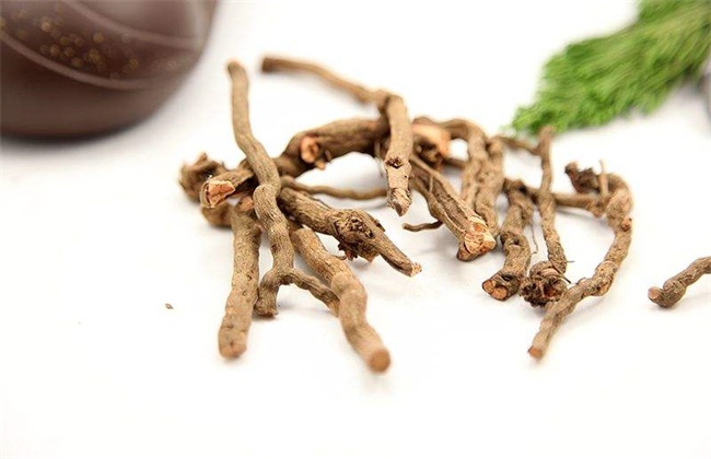 茜草多少钱一斤