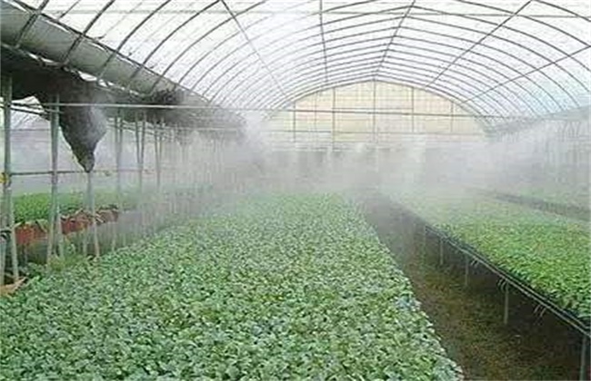 大棚蔬菜如何浇水