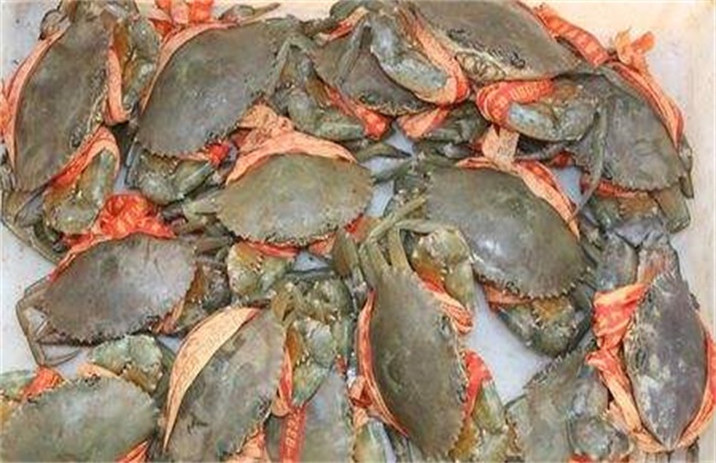 青蟹多少钱一斤
