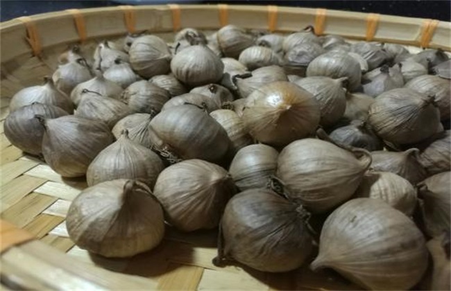黑蒜 价格 多少钱一斤