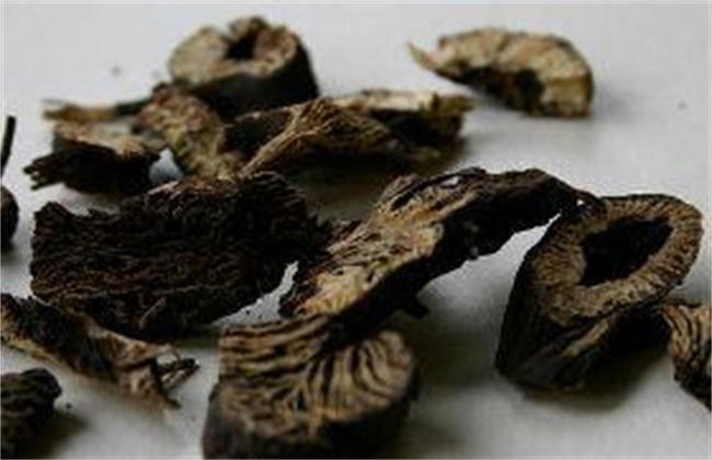 升麻多少钱一斤