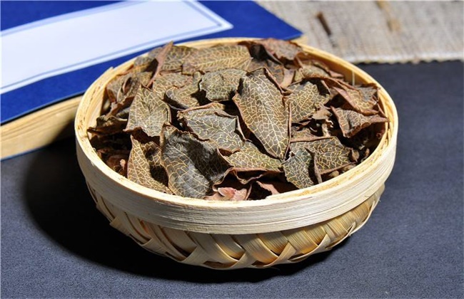 金线莲价格多少钱一斤