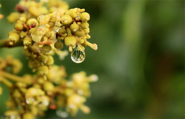 多雨