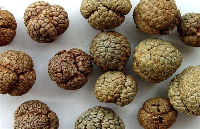 草豆蔻多少钱一斤