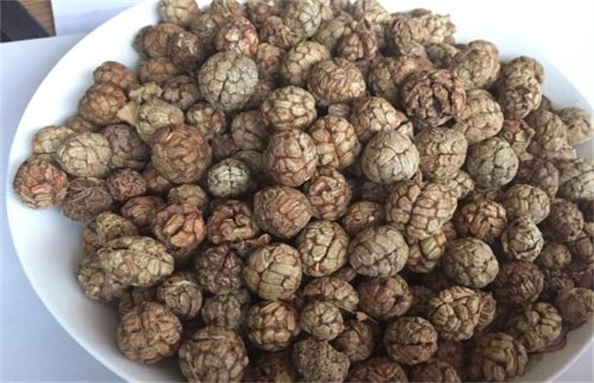 草豆蔻多少钱一斤