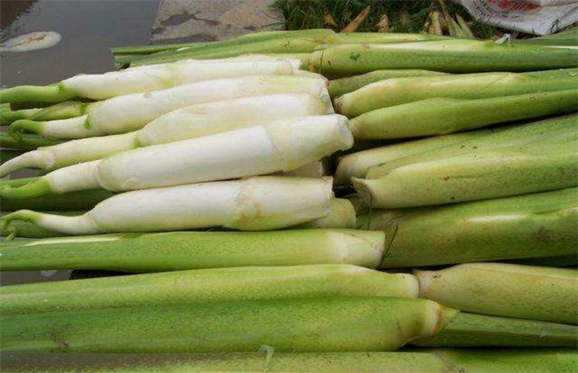 茭白 贮藏方法 保鲜方法