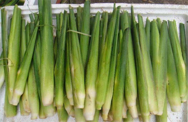 茭白 贮藏方法 保鲜方法