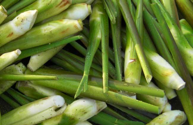 茭白 贮藏方法 保鲜方法