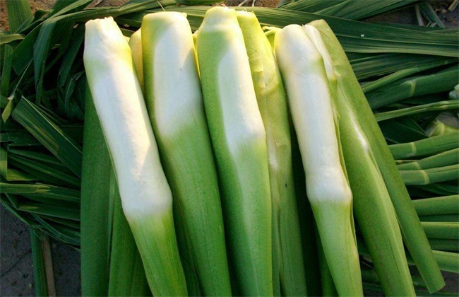 茭白 贮藏方法 保鲜方法
