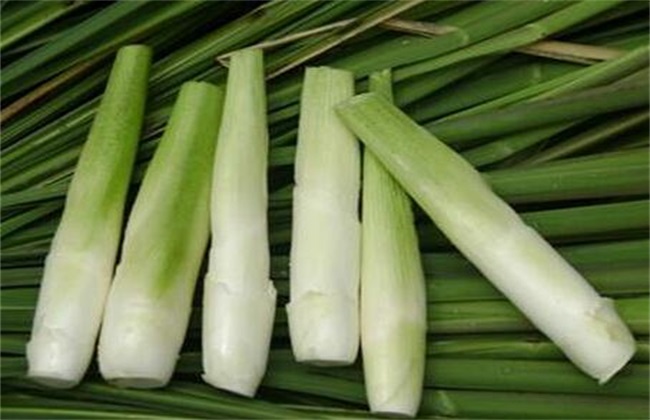 茭白 贮藏方法 保鲜方法