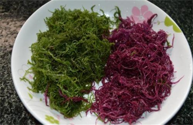 龙须菜多少钱一斤