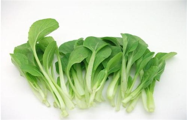 鸡毛菜多少钱一斤