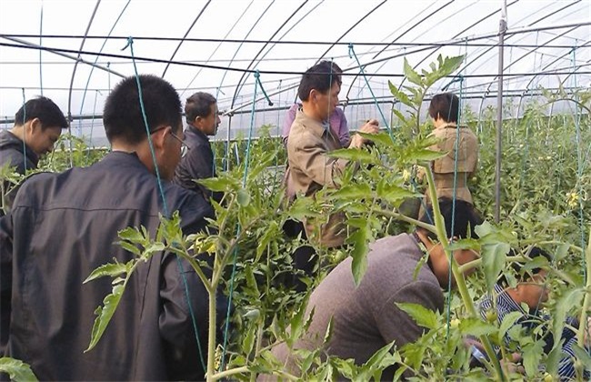 农村做什么生意最赚钱
