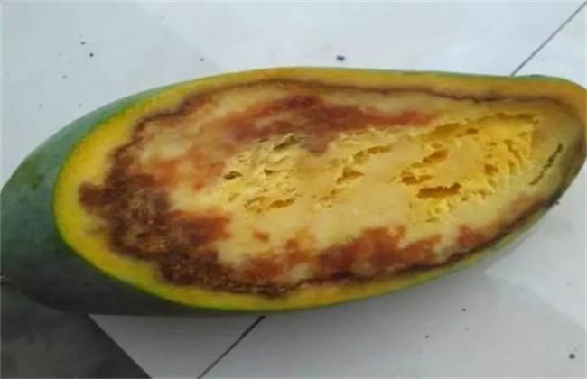 芒果烂果原因及防治方法