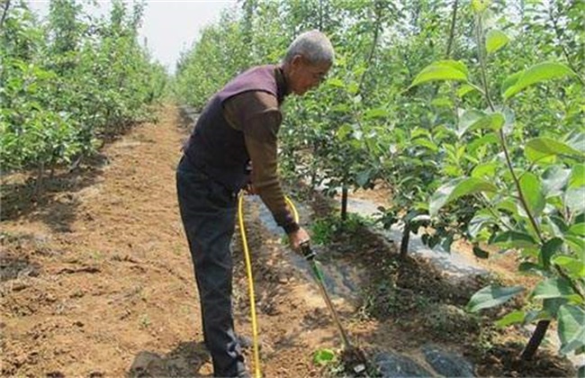 果树施肥注意事项