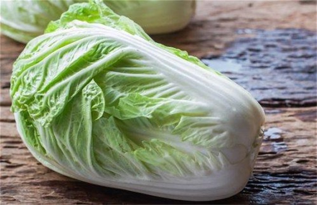 大白菜 中后期 管理技术